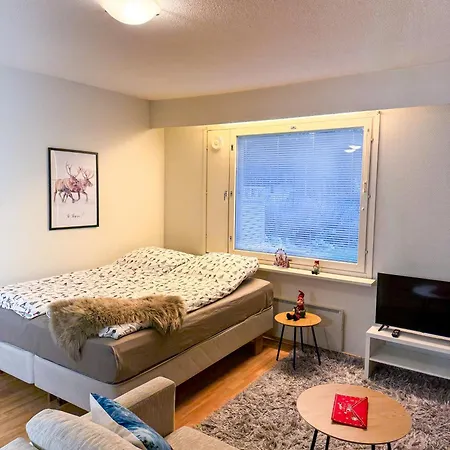 Northern Glow Apartment *